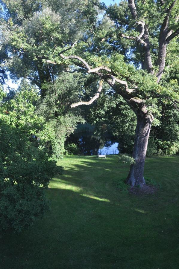 Gartenzimmer Im Schloss Neuhausen Neuhausen  Ngoại thất bức ảnh