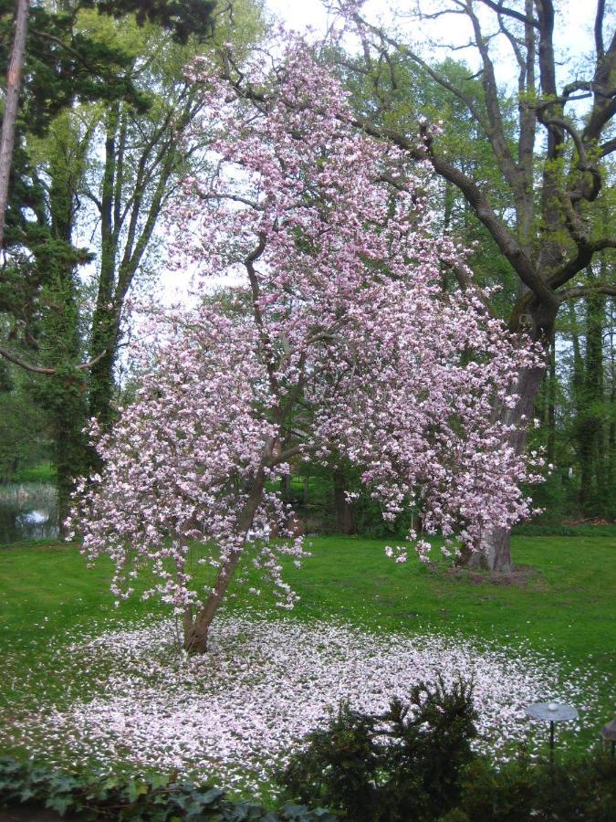 Gartenzimmer Im Schloss Neuhausen Neuhausen  Ngoại thất bức ảnh