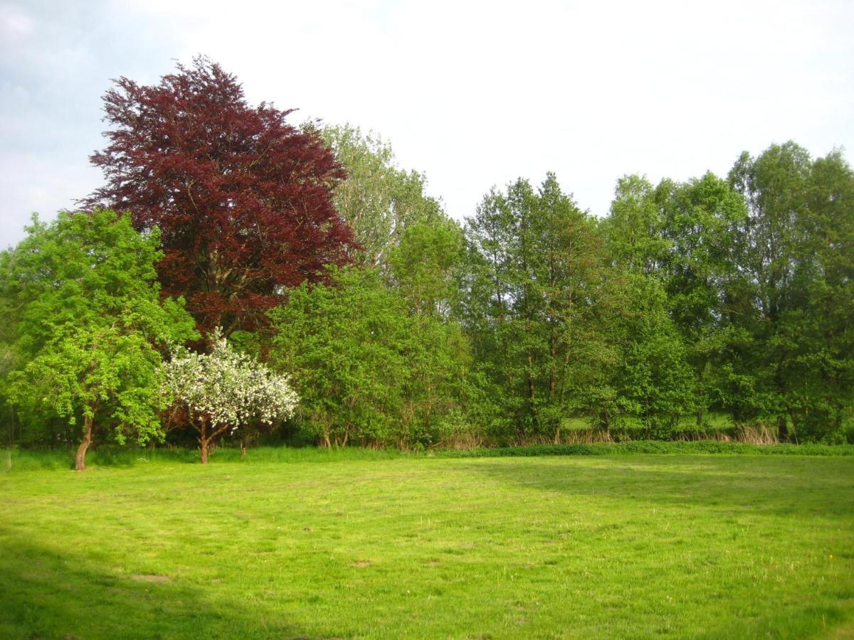 Gartenzimmer Im Schloss Neuhausen Neuhausen  Ngoại thất bức ảnh