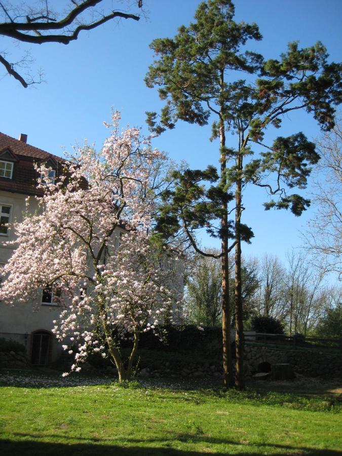 Gartenzimmer Im Schloss Neuhausen Neuhausen  Ngoại thất bức ảnh